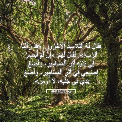 Picture 05 - يوحنَّا 20:25 AVD - فَقَالَ لَهُ - Bible Verse Picture