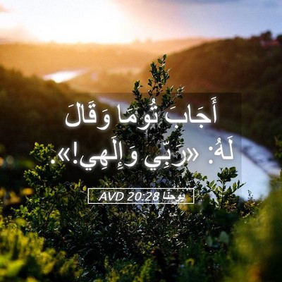 Picture 05 - يوحنَّا 20:28 AVD - أَجَابَ تُومَا وَقَالَ - Bible Verse Picture