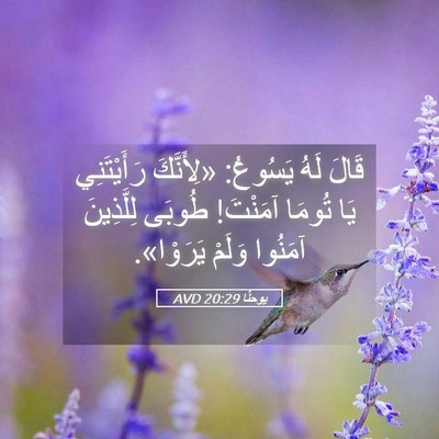 Picture 05 - يوحنَّا 20:29 AVD - قَالَ لَهُ يَسُوعُ: - Bible Verse Picture