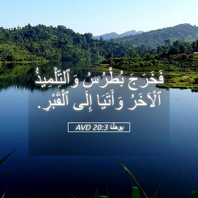 Picture 05 - يوحنَّا 20:3 AVD - فَخَرَجَ بُطْرُسُ - Bible Verse Picture