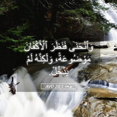Picture 05 - يوحنَّا 20:5 AVD - وَٱنْحَنَى فَنَظَرَ - Bible Verse Picture