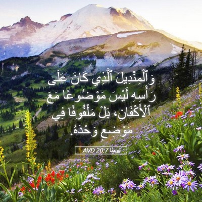 Picture 05 - يوحنَّا 20:7 AVD - وَٱلْمِنْدِيلَ ٱلَّذِي - Bible Verse Picture