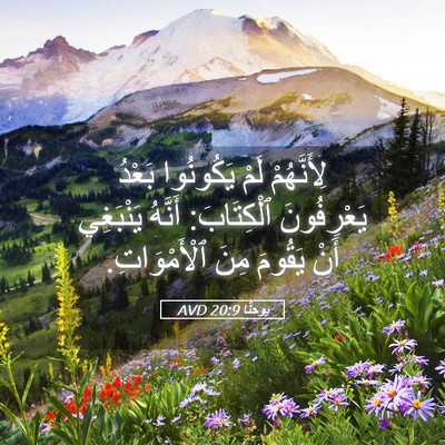 Picture 05 - يوحنَّا 20:9 AVD - لِأَنَّهُمْ لَمْ - Bible Verse Picture