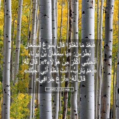 Picture 05 - يوحنَّا 21:15 AVD - فَبَعْدَ مَا تَغَدَّوْا - Bible Verse Picture