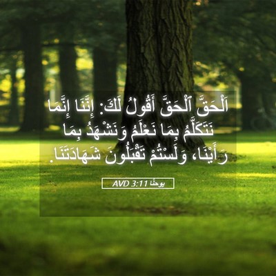 Picture 05 - يوحنَّا 3:11 AVD - اَلْحَقَّ ٱلْحَقَّ - Bible Verse Picture