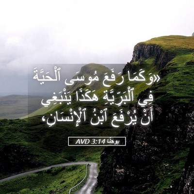 Picture 05 - يوحنَّا 3:14 AVD - «وَكَمَا رَفَعَ مُوسَى - Bible Verse Picture