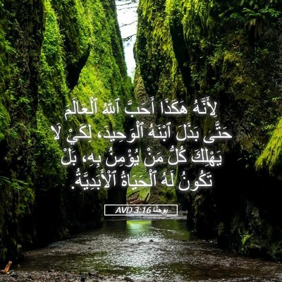 Picture 05 - يوحنَّا 3:16 AVD - لِأَنَّهُ هَكَذَا أَحَبَّ - Bible Verse Picture