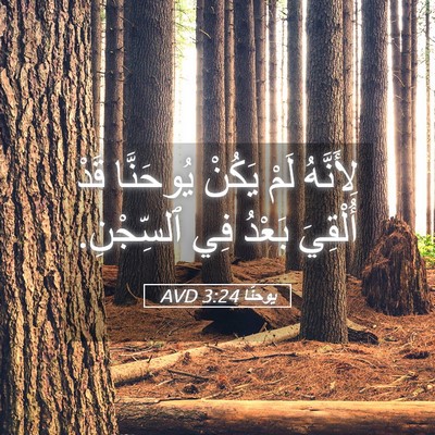 Picture 05 - يوحنَّا 3:24 AVD - لِأَنَّهُ لَمْ يَكُنْ - Bible Verse Picture