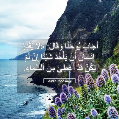 Picture 05 - يوحنَّا 3:27 AVD - أجَابَ يُوحَنَّا وَقَالَ: - Bible Verse Picture