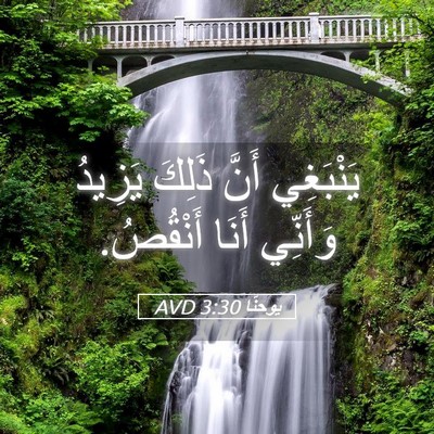 Picture 05 - يوحنَّا 3:30 AVD - يَنْبَغِي أَنَّ ذَلِكَ - Bible Verse Picture