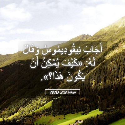 Picture 05 - يوحنَّا 3:9 AVD - أَجَابَ نِيقُودِيمُوسُ - Bible Verse Picture