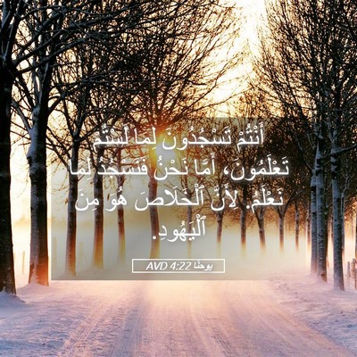 Picture 05 - يوحنَّا 4:22 AVD - أَنْتُمْ تَسْجُدُونَ - Bible Verse Picture