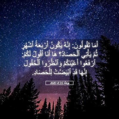 Picture 05 - يوحنَّا 4:35 AVD - أَمَا تَقُولُونَ: إِنَّهُ - Bible Verse Picture