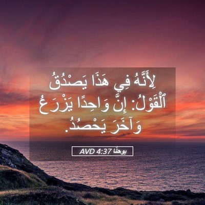 Picture 05 - يوحنَّا 4:37 AVD - لِأَنَّهُ فِي هَذَا - Bible Verse Picture