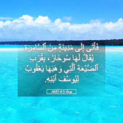 Picture 05 - يوحنَّا 4:5 AVD - فَأَتَى إِلَى مَدِينَةٍ - Bible Verse Picture