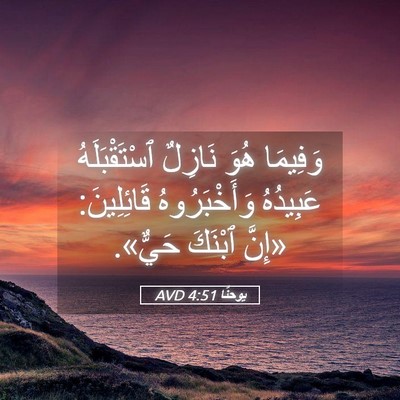 Picture 05 - يوحنَّا 4:51 AVD - وَفِيمَا هُوَ نَازِلٌ - Bible Verse Picture