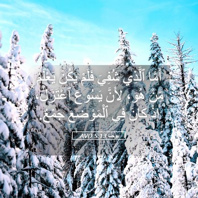 Picture 05 - يوحنَّا 5:13 AVD - أَمَّا ٱلَّذِي شُفِيَ - Bible Verse Picture