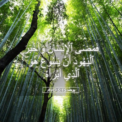 Picture 05 - يوحنَّا 5:15 AVD - فَمَضَى ٱلْإِنْسَانُ - Bible Verse Picture