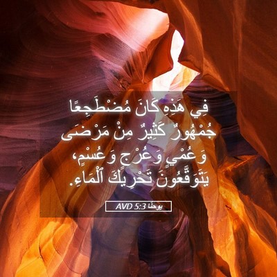 Picture 05 - يوحنَّا 5:3 AVD - فِي هَذِهِ كَانَ - Bible Verse Picture