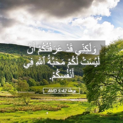 Picture 05 - يوحنَّا 5:42 AVD - وَلَكِنِّي قَدْ - Bible Verse Picture