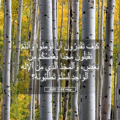 Picture 05 - يوحنَّا 5:44 AVD - كَيْفَ تَقْدِرُونَ أَنْ - Bible Verse Picture