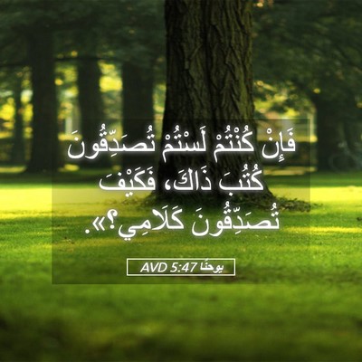 Picture 05 - يوحنَّا 5:47 AVD - فَإِنْ كُنْتُمْ لَسْتُمْ - Bible Verse Picture