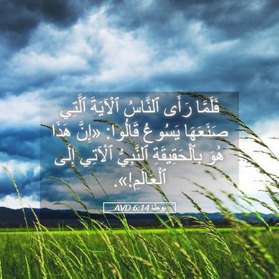 Picture 05 - يوحنَّا 6:14 AVD - فَلَمَّا رَأَى ٱلنَّاسُ - Bible Verse Picture