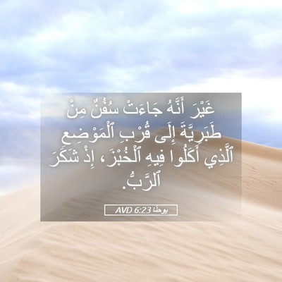 Picture 05 - يوحنَّا 6:23 AVD - غَيْرَ أَنَّهُ جَاءَتْ - Bible Verse Picture