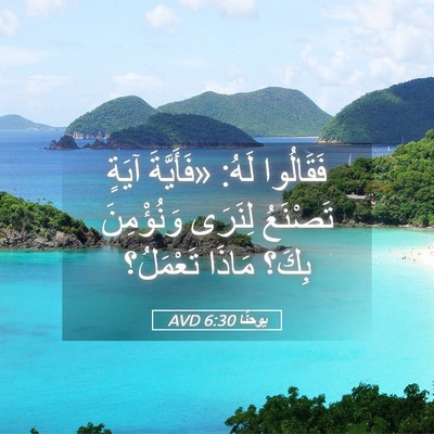 Picture 05 - يوحنَّا 6:30 AVD - فَقَالُوا لَهُ: «فَأَيَّةَ - Bible Verse Picture