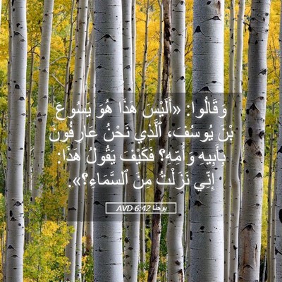 Picture 05 - يوحنَّا 6:42 AVD - وَقَالُوا: «أَلَيْسَ هَذَا - Bible Verse Picture