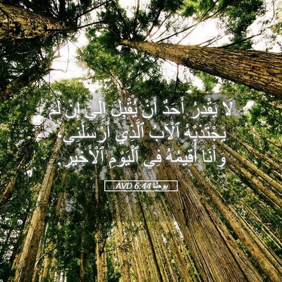 Picture 05 - يوحنَّا 6:44 AVD - لَا يَقْدِرُ أَحَدٌ أَنْ - Bible Verse Picture