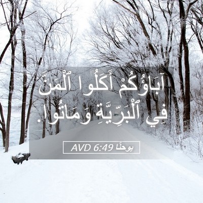 Picture 05 - يوحنَّا 6:49 AVD - آبَاؤُكُمْ أَكَلُوا - Bible Verse Picture