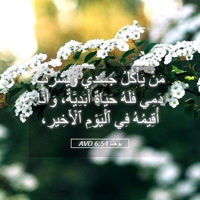 Picture 05 - يوحنَّا 6:54 AVD - مَنْ يَأْكُلُ جَسَدِي - Bible Verse Picture