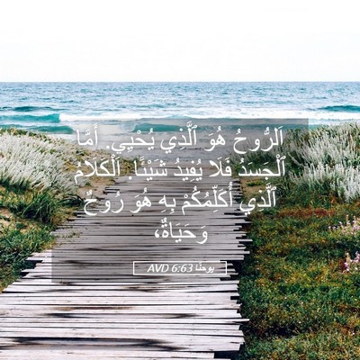 Picture 05 - يوحنَّا 6:63 AVD - اَلرُّوحُ هُوَ ٱلَّذِي - Bible Verse Picture