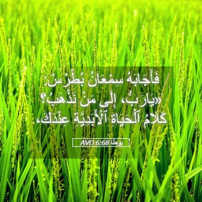 Picture 05 - يوحنَّا 6:68 AVD - فَأَجَابَهُ سِمْعَانُ - Bible Verse Picture