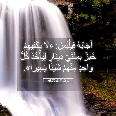 Picture 05 - يوحنَّا 6:7 AVD - أَجَابَهُ فِيلُبُّسُ: «لَا - Bible Verse Picture
