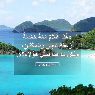 Picture 05 - يوحنَّا 6:9 AVD - «هُنَا غُلَامٌ مَعَهُ - Bible Verse Picture