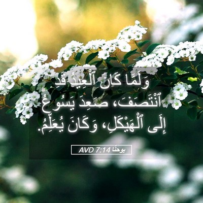Picture 05 - يوحنَّا 7:14 AVD - وَلَمَّا كَانَ ٱلْعِيدُ - Bible Verse Picture