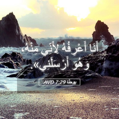 Picture 05 - يوحنَّا 7:29 AVD - أَنَا أَعْرِفُهُ لِأَنِّي - Bible Verse Picture