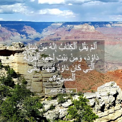 Picture 05 - يوحنَّا 7:42 AVD - أَلَمْ يَقُلِ ٱلْكِتَابُ - Bible Verse Picture