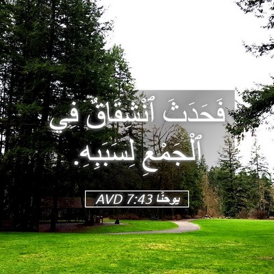 Picture 05 - يوحنَّا 7:43 AVD - فَحَدَثَ ٱنْشِقَاقٌ فِي - Bible Verse Picture