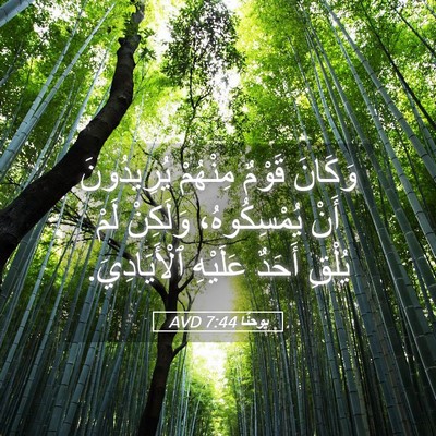 Picture 05 - يوحنَّا 7:44 AVD - وَكَانَ قَوْمٌ مِنْهُمْ - Bible Verse Picture