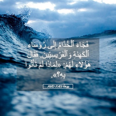 Picture 05 - يوحنَّا 7:45 AVD - فَجَاءَ ٱلْخُدَّامُ إِلَى - Bible Verse Picture