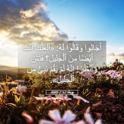 Picture 05 - يوحنَّا 7:52 AVD - أَجَابُوا وَقَالُوا لَهُ: - Bible Verse Picture