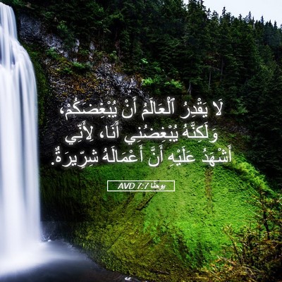 Picture 05 - يوحنَّا 7:7 AVD - لَا يَقْدِرُ ٱلْعَالَمُ - Bible Verse Picture