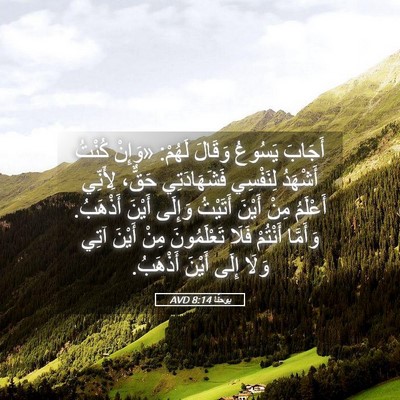 Picture 05 - يوحنَّا 8:14 AVD - أَجَابَ يَسُوعُ وَقَالَ - Bible Verse Picture