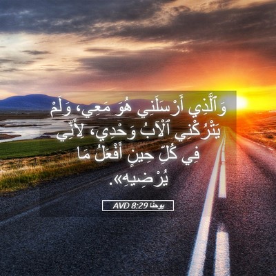 Picture 05 - يوحنَّا 8:29 AVD - وَٱلَّذِي أَرْسَلَنِي - Bible Verse Picture