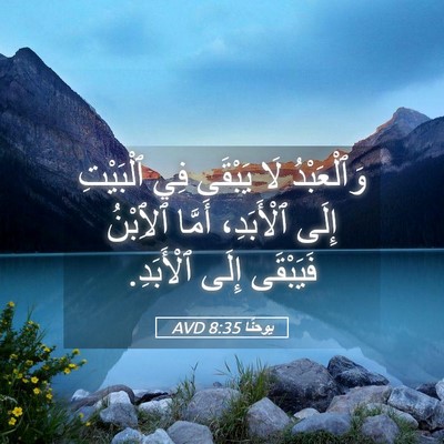 Picture 05 - يوحنَّا 8:35 AVD - وَٱلْعَبْدُ لَا يَبْقَى - Bible Verse Picture