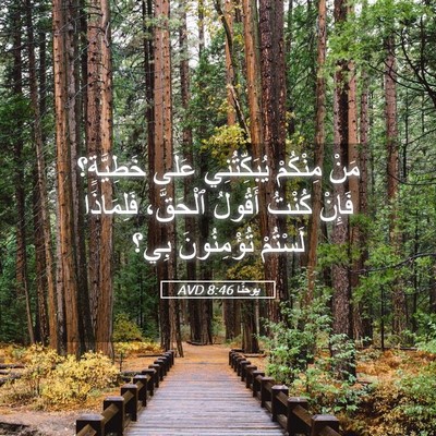 Picture 05 - يوحنَّا 8:46 AVD - مَنْ مِنْكُمْ - Bible Verse Picture