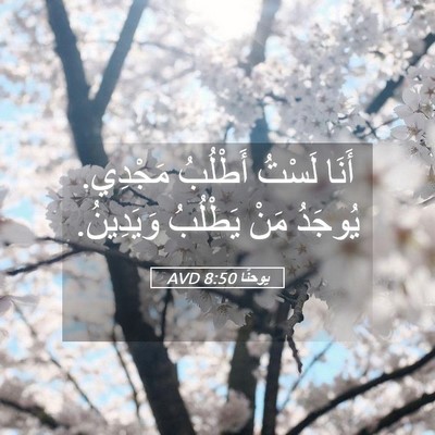 Picture 05 - يوحنَّا 8:50 AVD - أَنَا لَسْتُ أَطْلُبُ - Bible Verse Picture